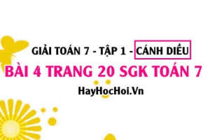 Giải bài 4 trang 20 Toán 7 Tập 1 SGK Cánh Diều